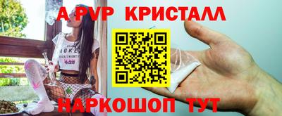 крисы Кингисепп