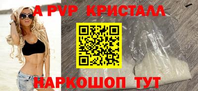 крисы Кингисепп