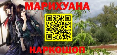 крисы Кингисепп