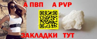 крисы Кингисепп