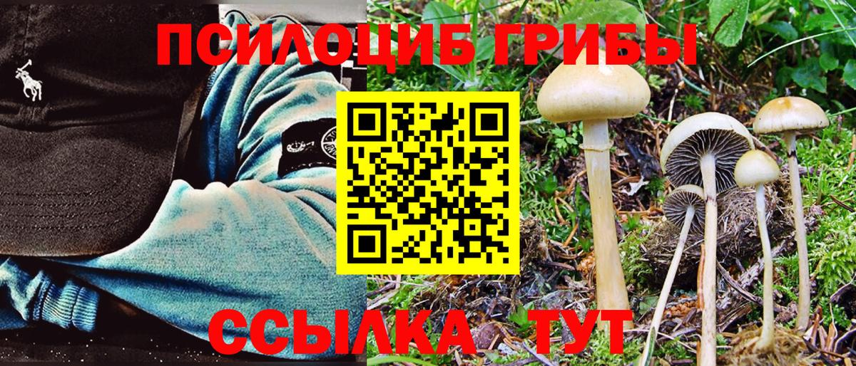 Галлюциногенные грибы MAGIC MUSHROOMS Кимры