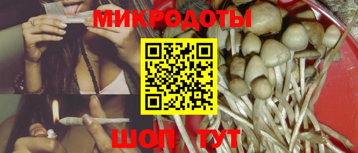 Кимры  Псилоцибиновые грибы прущие грибы  где найти   Вход с VPN 